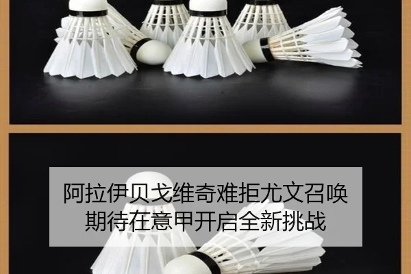 阿拉伊贝戈维奇难拒尤文召唤 期待在意甲开启全新挑战